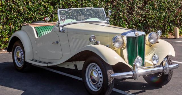 Mg Td image 6
