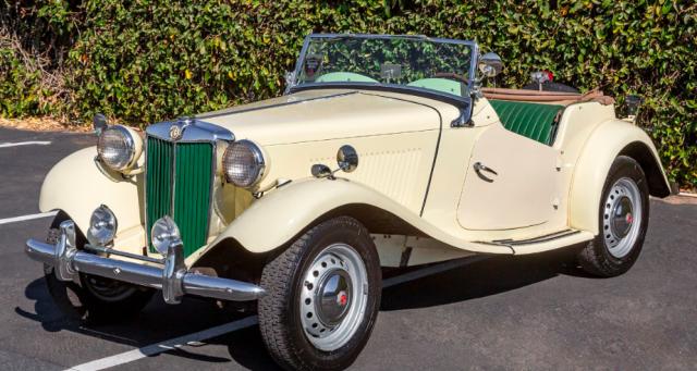 Mg Td image 5