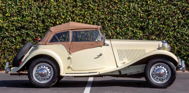 Mg Td image 1