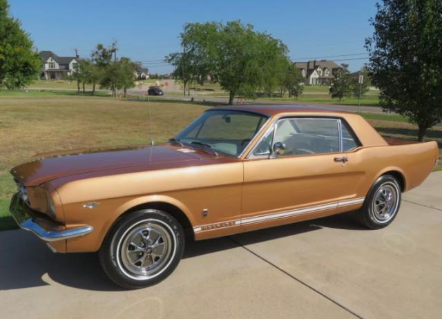 Ford Mustang image 2