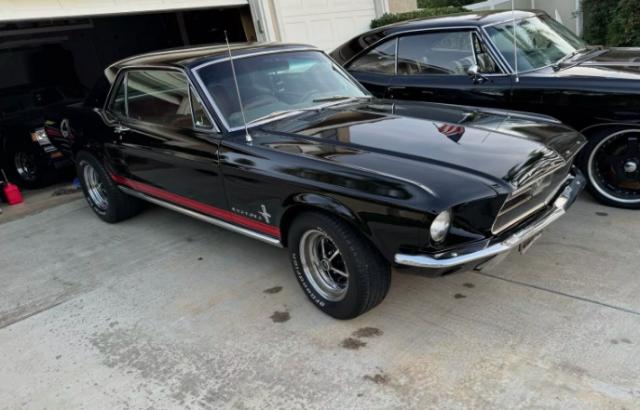Ford Mustang image 3