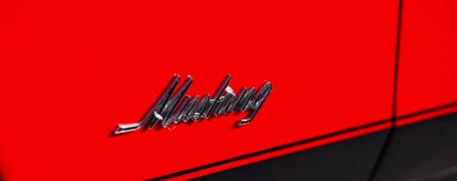 Ford Mustang image 4
