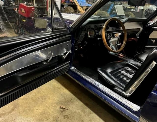 Ford Mustang image 3