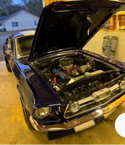 Ford Mustang image 4