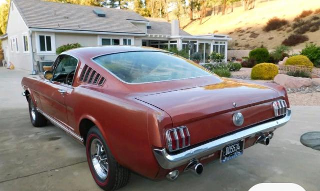 Ford Mustang image 4