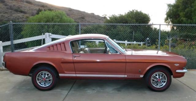 Ford Mustang image 1