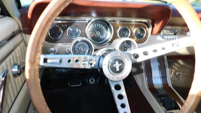 Ford Mustang image 2
