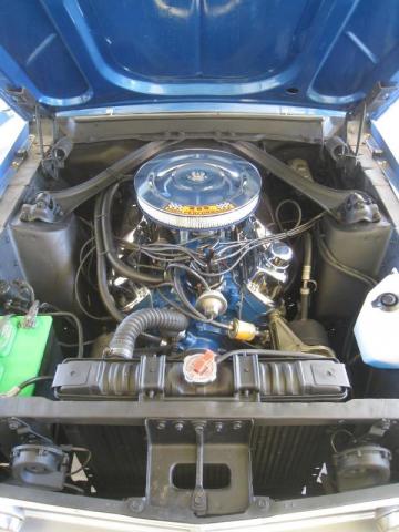 Ford Mustang image 2