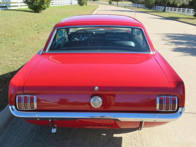 Ford Mustang image 9