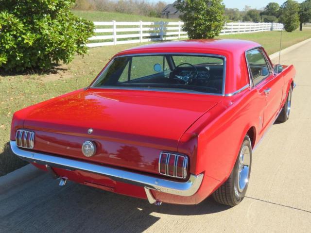 Ford Mustang image 5