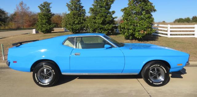Ford Mustang image 1