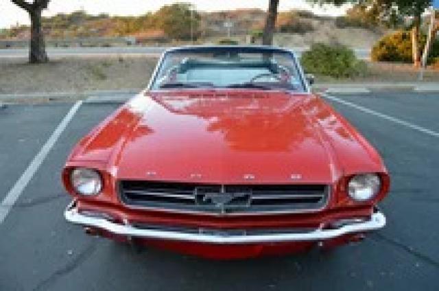 Ford Mustang image 7