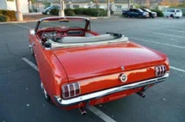 Ford Mustang image 3