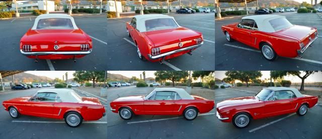 Ford Mustang image 2
