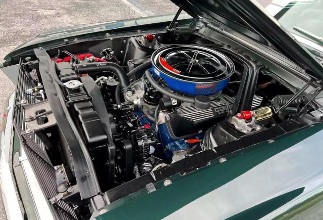Ford Mustang image 1