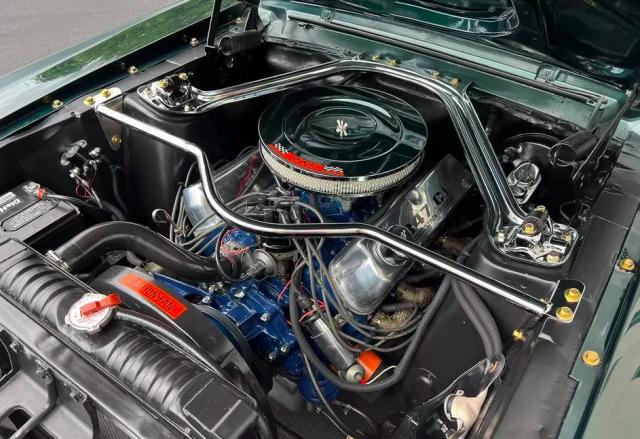 Ford Mustang image 1
