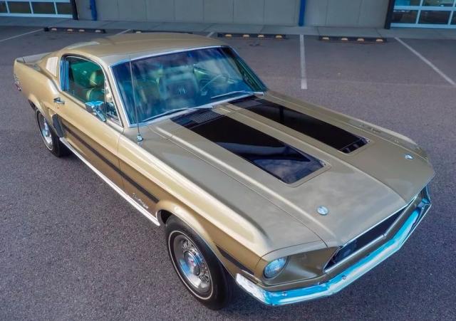 Ford Mustang image 1