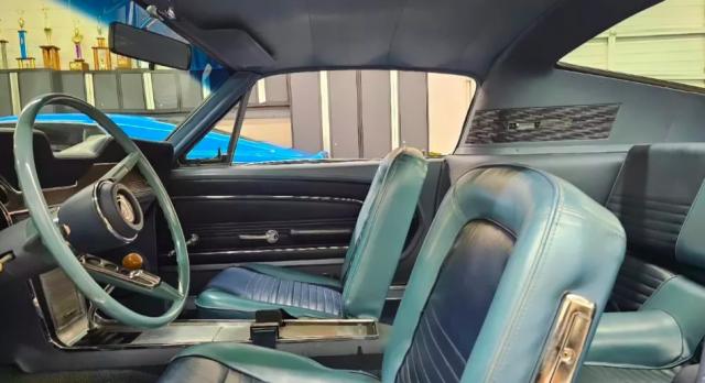 Ford Mustang image 3