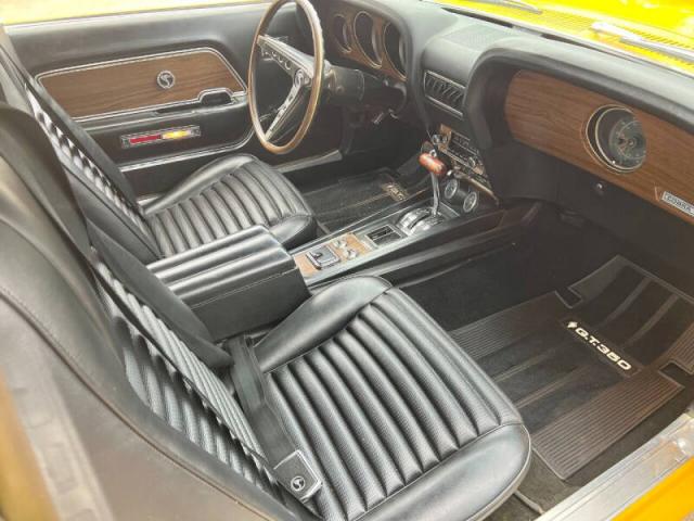 Ford Mustang image 4