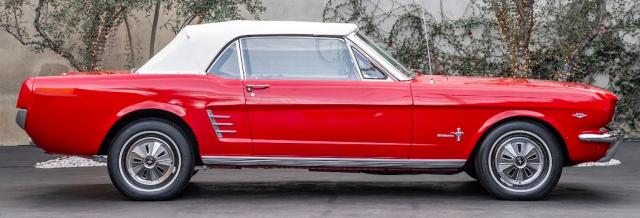 Ford Mustang image 1