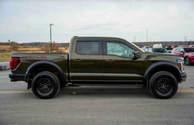 Ford F 150 image 1