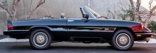 Alfa Romeo Spider image 2