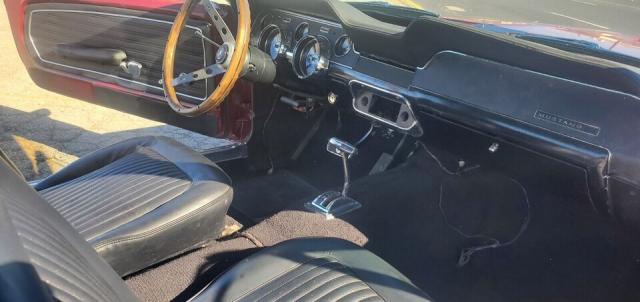 Ford Mustang image 1