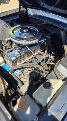 Ford Mustang image 2