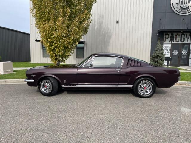 Ford Mustang image 3