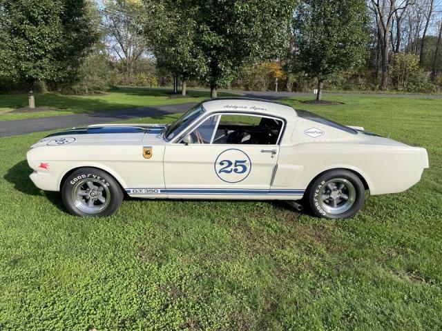 Ford Mustang image 2
