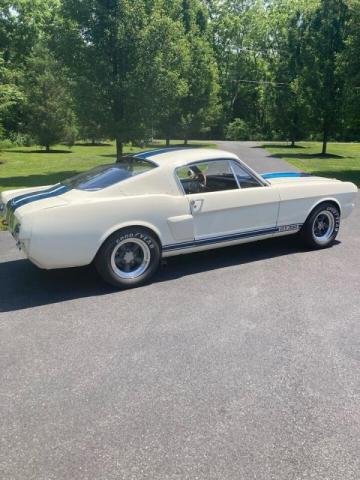 Ford Mustang image 1