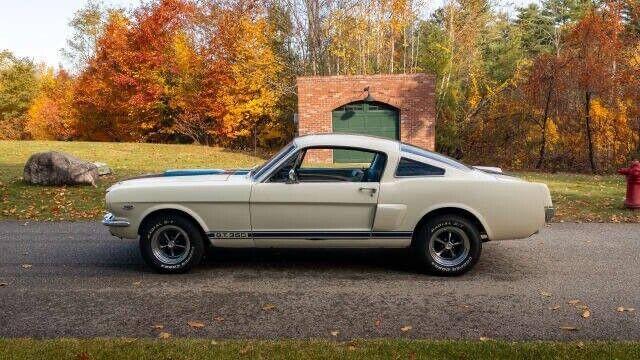 Ford Mustang image 2