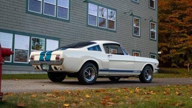 Ford Mustang image 3