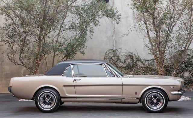 Ford Mustang image 4
