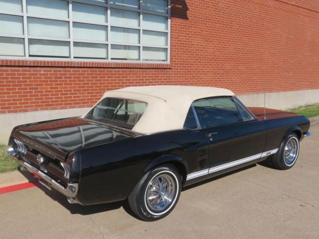 Ford Mustang image 8