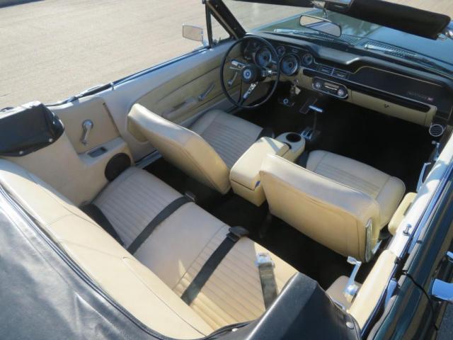 Ford Mustang image 7