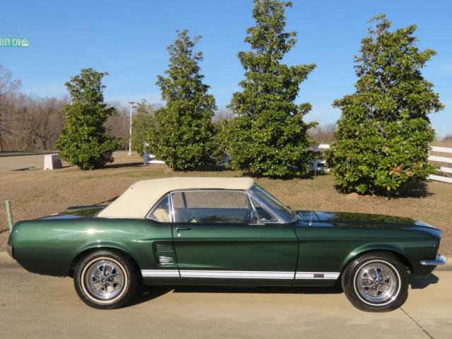Ford Mustang image 1