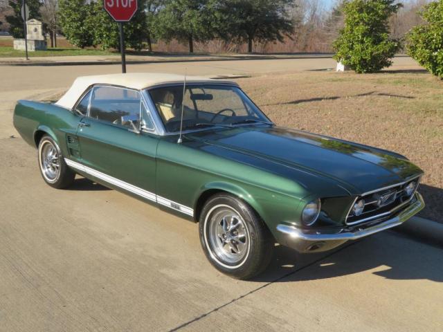 Ford Mustang image 8