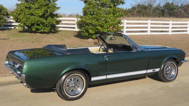 Ford Mustang image 3