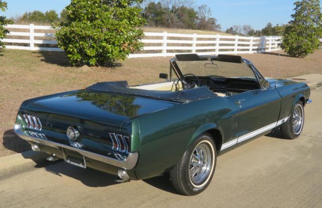 Ford Mustang image 4