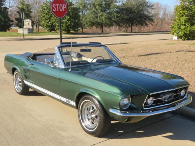 Ford Mustang image 2