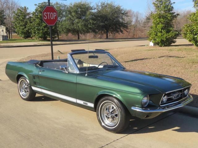 Ford Mustang image 5