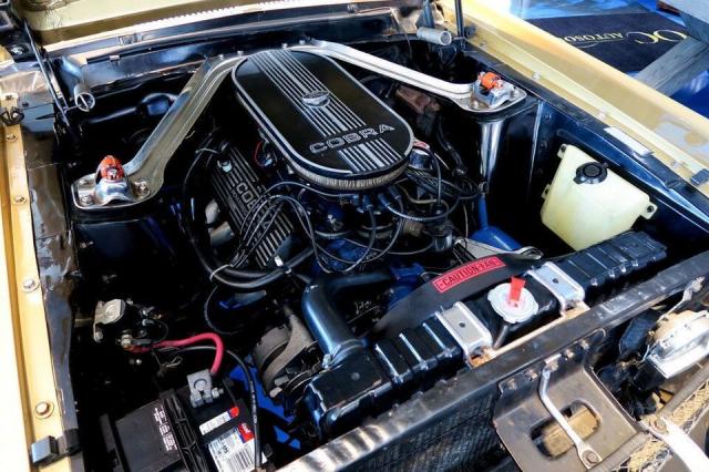Ford Mustang image 3
