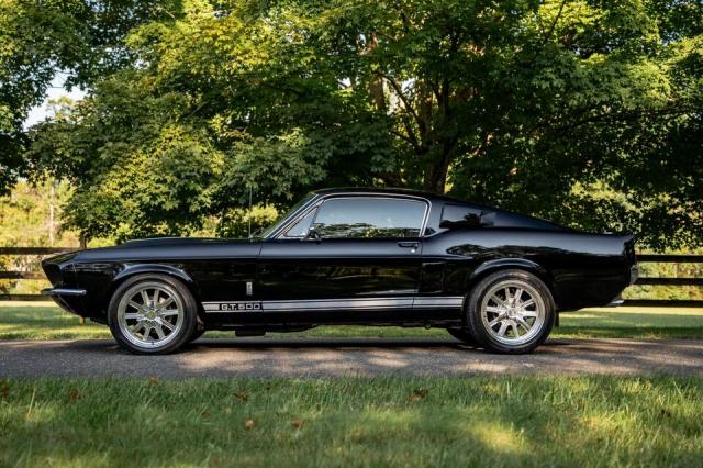 Ford Mustang image 1