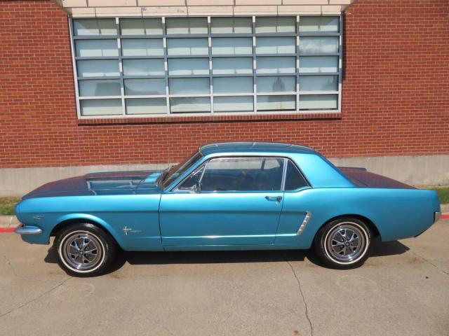 Ford Mustang image 1