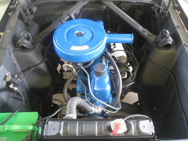 Ford Mustang image 4