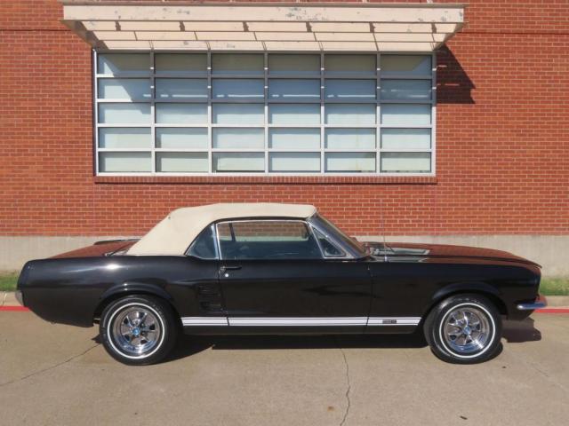 Ford Mustang image 3
