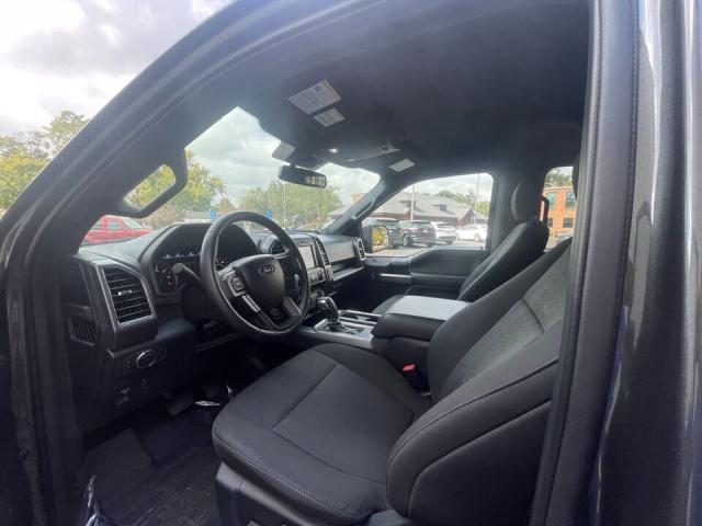 Ford F 150 image 3