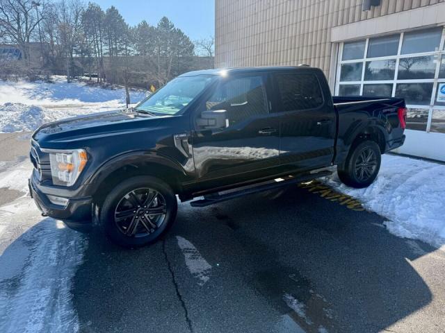 Ford F 150 image 1