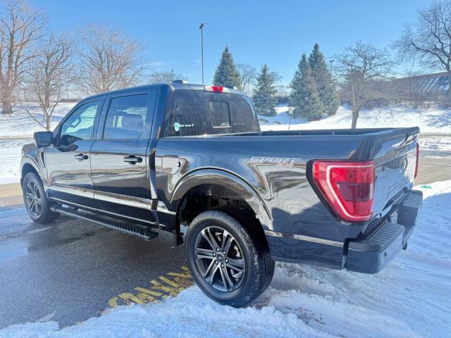 Ford F 150 image 2